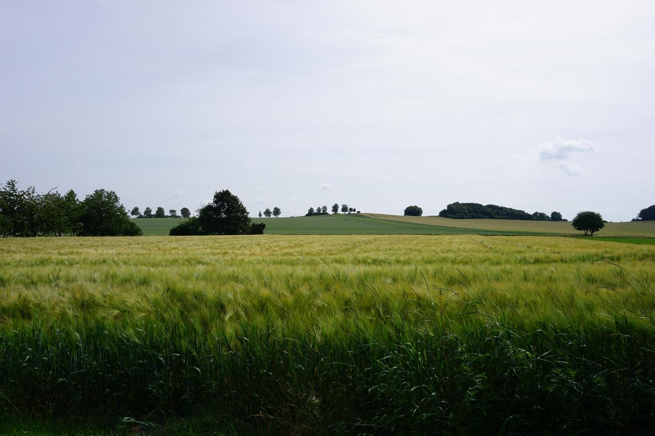 Landhaus Zum Mushof Hotel Wethen Exteriör bild